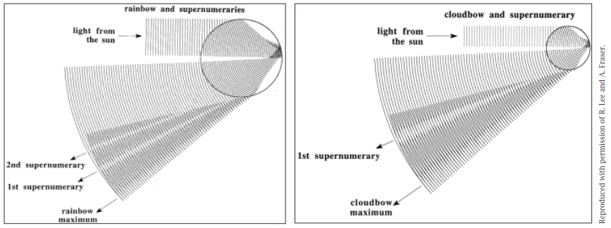 two diagrams comparing the wave interference of light exiting a drop of water after reflecting once inside of it. One drop is bigger and has shallow curved wavefronts, and the other is smaller with curvier wavefronts.