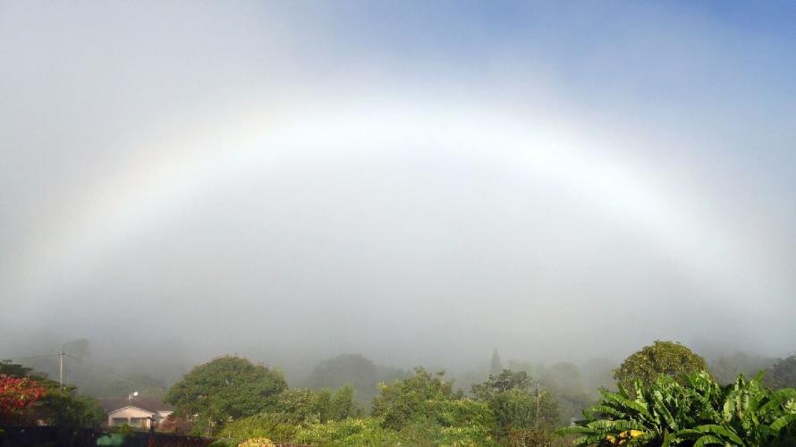 soft white arc in a foggy sky above trees