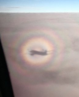 a rainbow ring around the shadow of a plane in the clouds