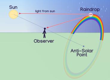 diagram showing the sun, an observer, a full circle rainbow, and rain. Sun light travels past the observer into a raindrop opposite side of the sky on the rainbow, reflects inside of the drop, and is directed back and downwards to the observer.