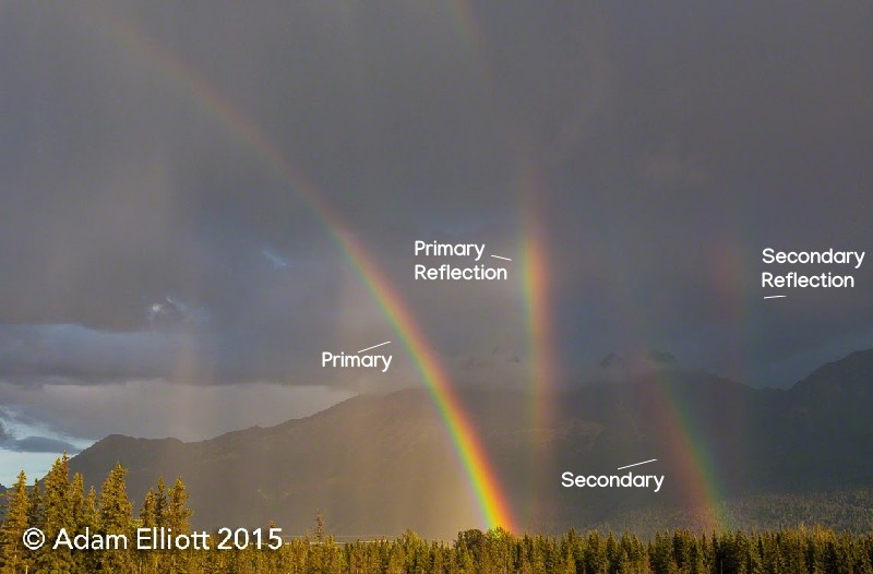 four rainbows over a line of trees