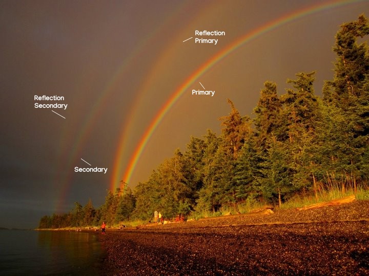 four rainbows over a lake lined with pine trees.