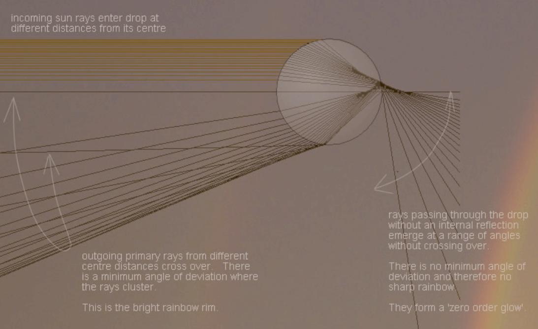 diagram showing many rays entering a raindrop. Rays that pass through without reflecting flare outwards away from the entrance. Rays that reflect off of the back of the drop go towards the entrance side and flare downward, until they hit a limit, and flare upward.