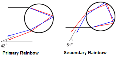 diagram of a single reflection in one drop, and a double reflection in another drop.