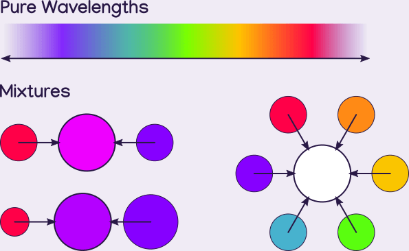 two diagrams. One is a linear gradient labeled pure wavelengths which spans from violet, blue, green, yellow, orange, to red. The other diagram shows three mixtures. Blue and red makes magenta and purple, and all colors on the visible spectrum makes white