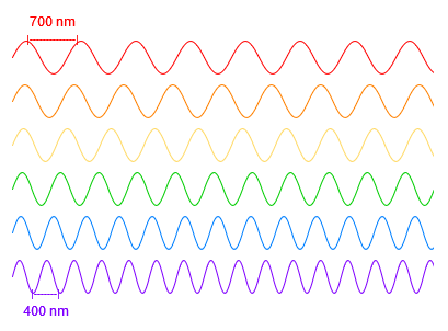 red, orange, yellow, green, blue and violet light depicted as waves, illustrating how red has the widest wavelength and violet has the smallest